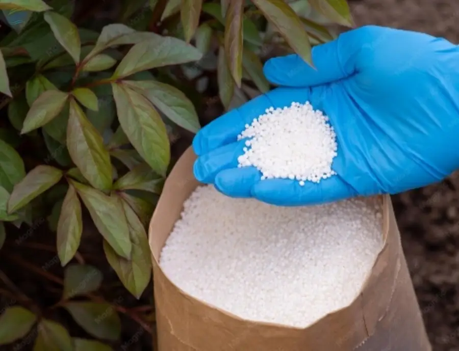 Mono-Ammonium Phosphate (MAP) Agri Grade