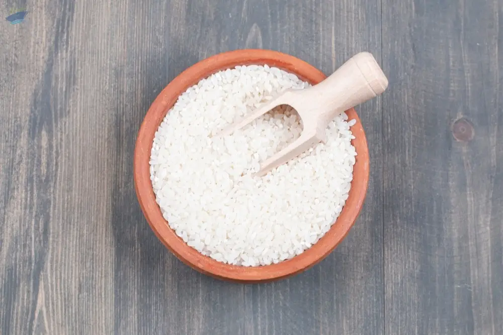 Single Super Phosphate (SSP)