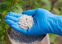 NPK Compound Fertilizer Granules