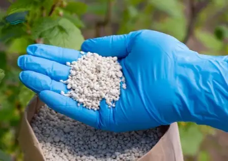 NPK Compound Fertilizer Granules