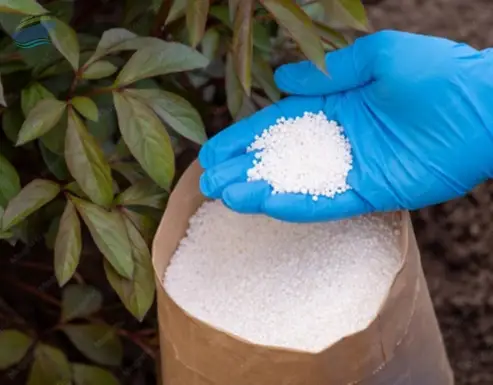 Potassium Sulphate SOP Fertilizer
