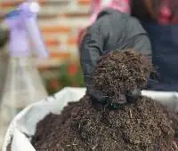 Agricultural Organic Compound Fertilizer
