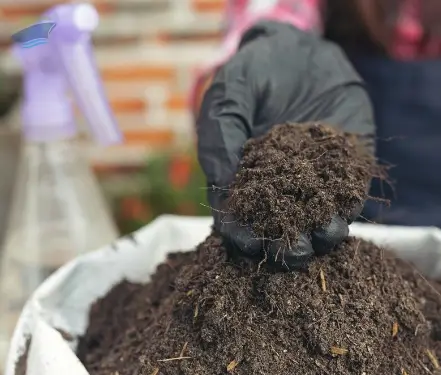 Agricultural Organic Compound Fertilizer