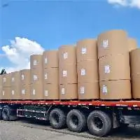 PE Coated Paper Roll For Paper Cup Paper Bowl