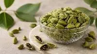 Premium Green Cardamom Exporter India