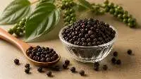High Quality Export Grade Black Pepper 