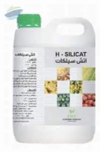 H-Silicat
