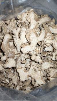 Indonesian Elephant Dried Ginger
