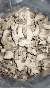 Indonesian Elephant Dried Ginger