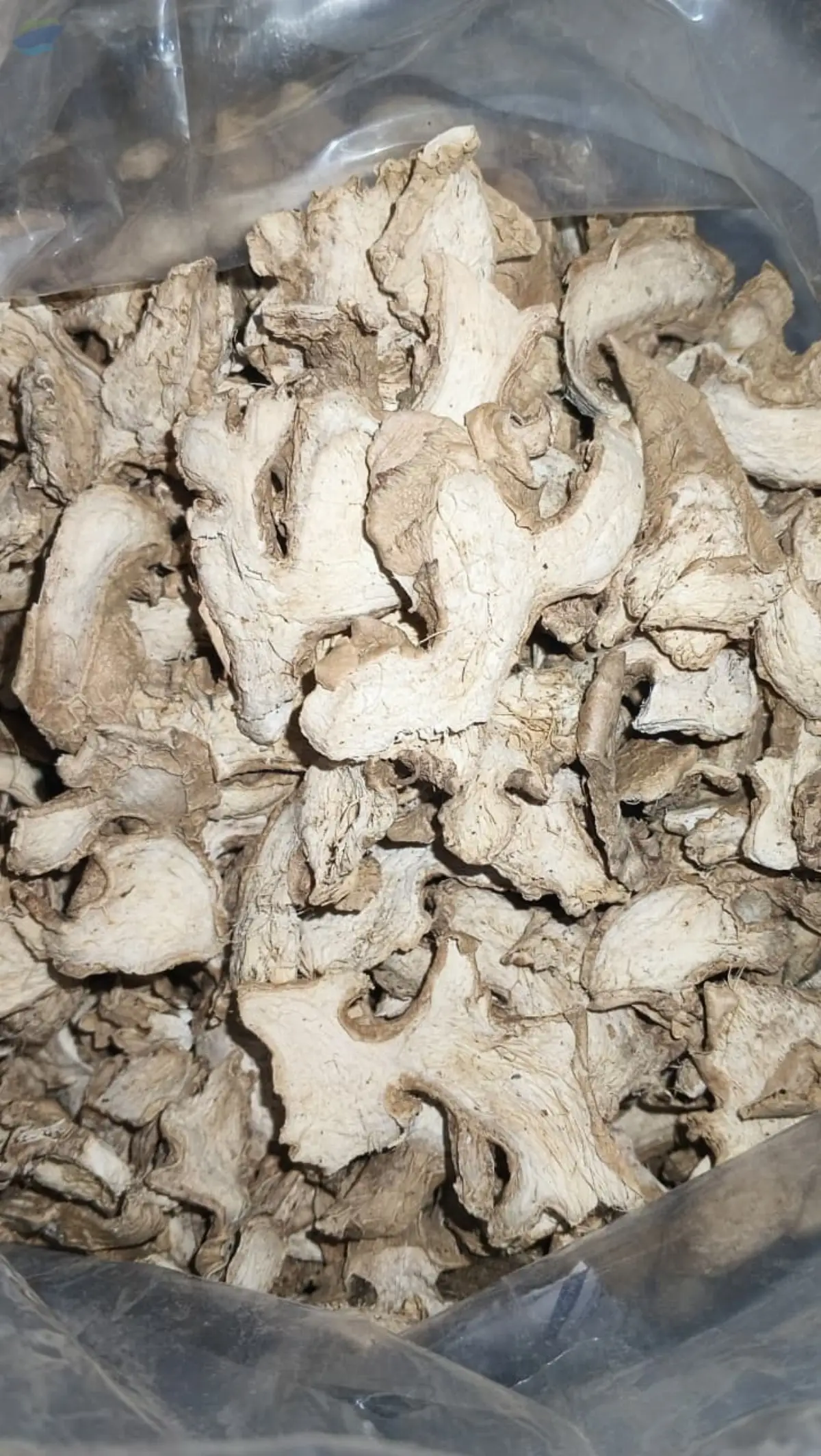 Indonesian Elephant Dried Ginger