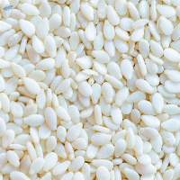 High Grade Hulled White Sesame Seeds