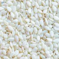 High Grade Hulled White Sesame Seeds