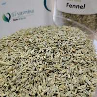 Premium Egyptian Fennel Seeds