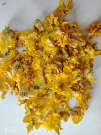 Premium Egyptian Mullein (Verbascum)