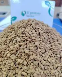 Premium Egyptian Fenugreek Seeds
