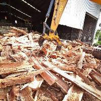 High Quality Eucalyptus Wood Chips Material