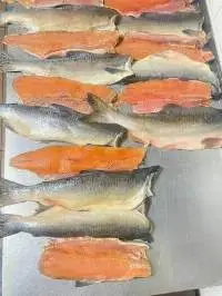 Pink Salmon H/G 0.6-1.1kg Gr1 bag 1/22