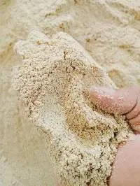 Rice Bran
