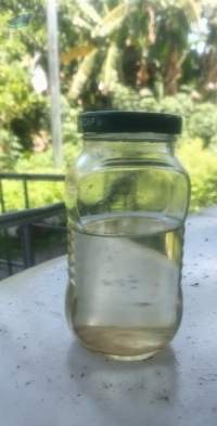 Virgin Coconut Oil