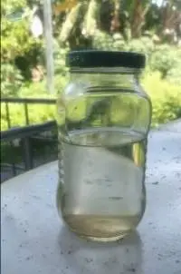 Virgin Coconut Oil