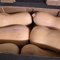 Butter Nuts