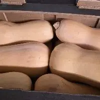 Butter Nuts