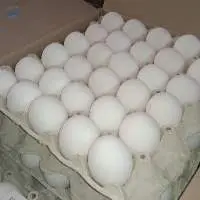 Fresh Wholesale Eggs A, White, Brown, S,M, L