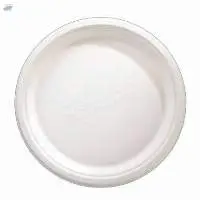 Sugarcane Bagasse Plate And Bowls