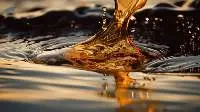 Crude Petroleum Oil Industrial Product
