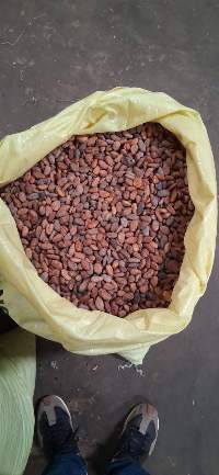 Cocoa Beans