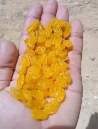Premium Egyptian Golden Raisins