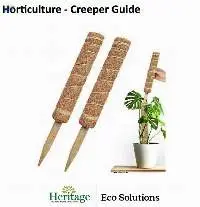 Horticulture Creeper Guide