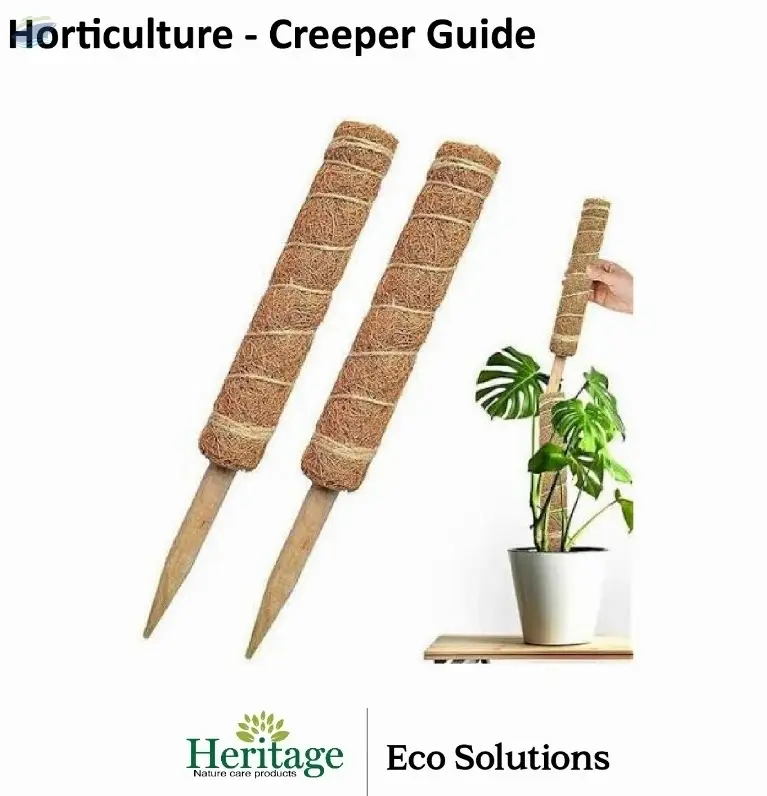 Horticulture Creeper Guide