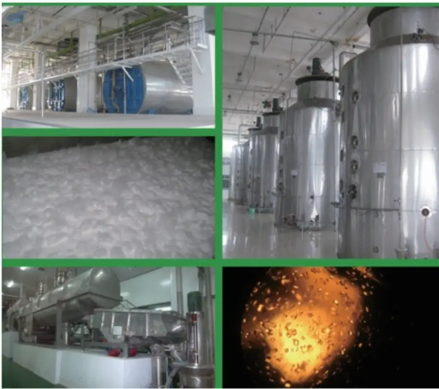 Glucose / Dextrose Production Line