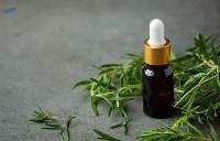 Premium Thyme Oil Export Quality