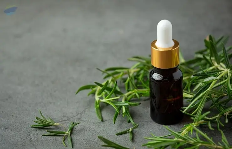 Premium Thyme Oil Export Quality