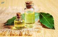 Premium Bay Leaf Oil Export Quality