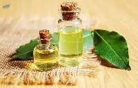 Premium Bay Leaf Oil Export Quality