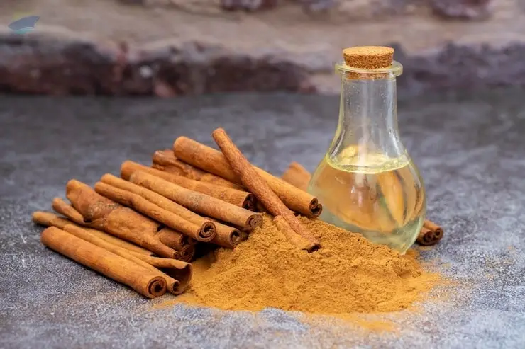 Premium Natural Cinnamon Bark Essential Oil