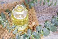 Premium Natural Eucalyptus Essential Oil