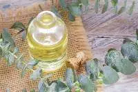 Premium Natural Eucalyptus Essential Oil