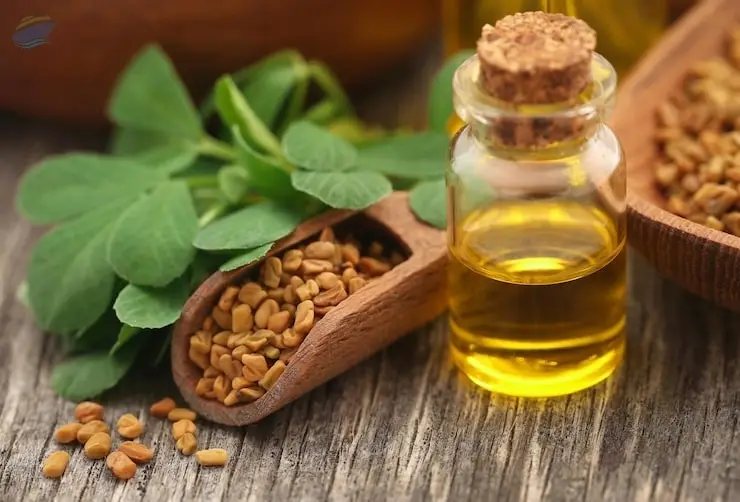 Premium Natural Fenugreek Seed Oil