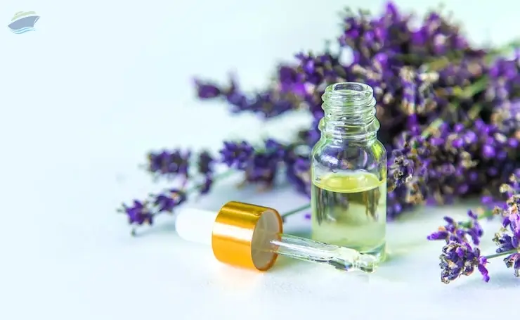 Premium Natural Lavender Essential Oil