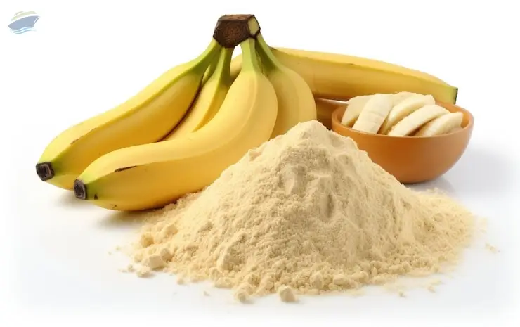 Premium Natural Banana Powder Export Quality
