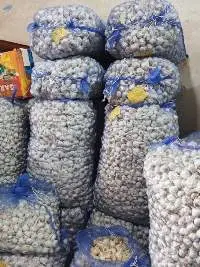 Fresh Garlic & Onion