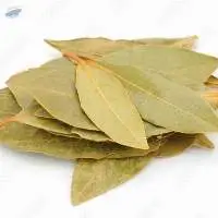 Bay Leaf