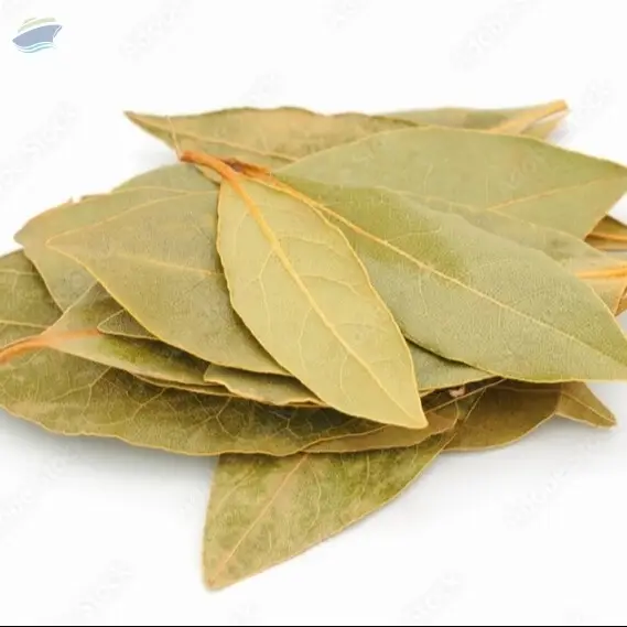 Bay Leaf