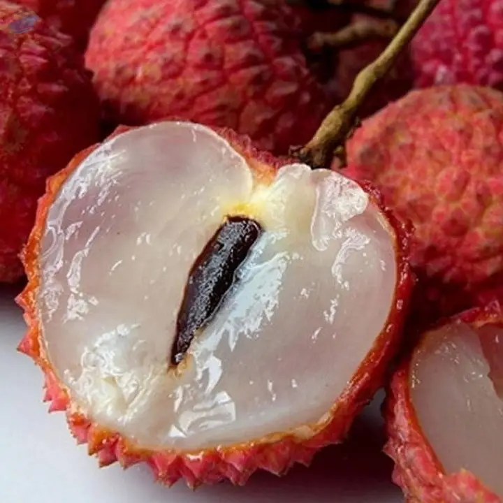 Tezpur Litchi