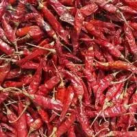 Whole Chilli S4 Premium Export Quality