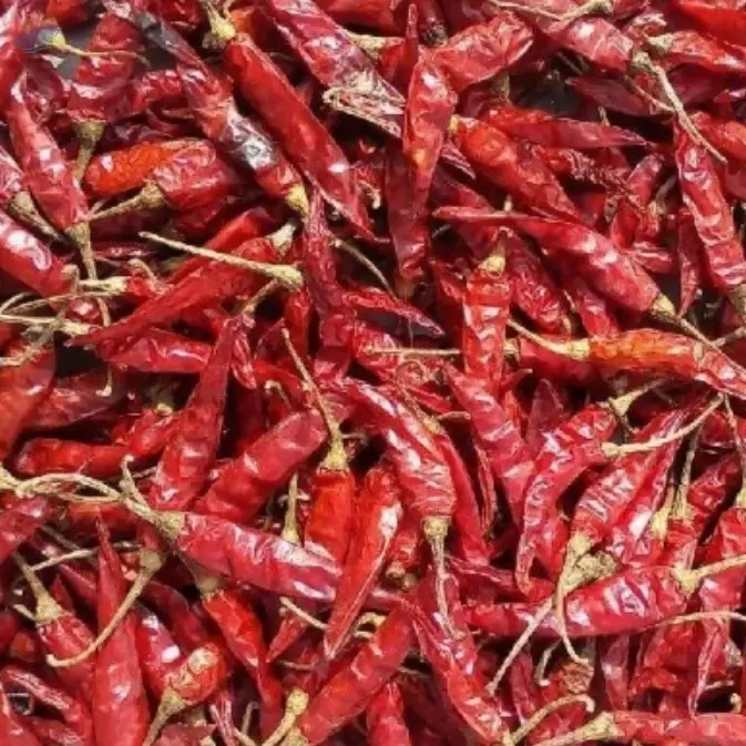 Whole Chilli S4 Premium Export Quality